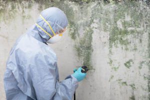 mold remediation