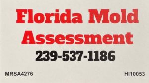 florida mold assessment